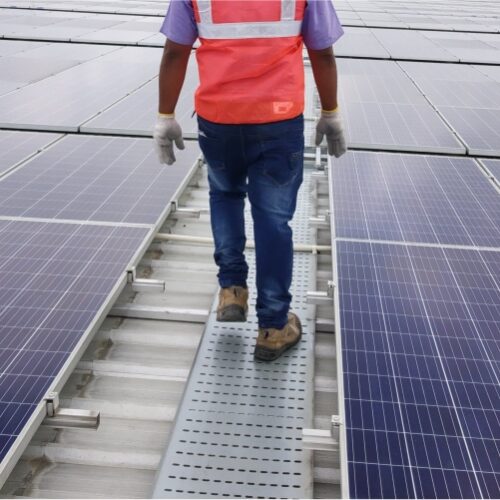 man on a pathway between solar panels