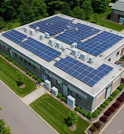 411X537 card images 3 411X537 card images 3